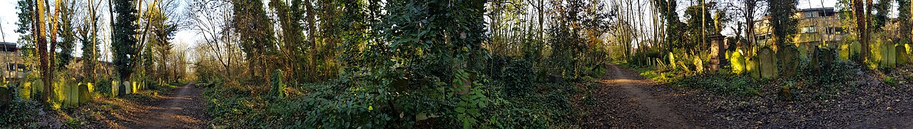 Abney Park Cemetery — photograph