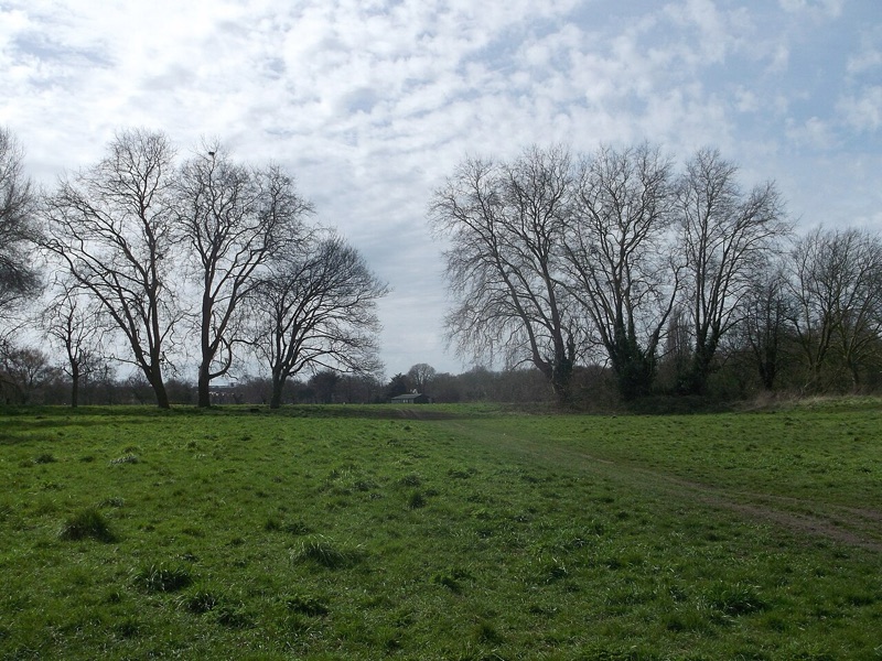 Putney Lower Common London — photograph