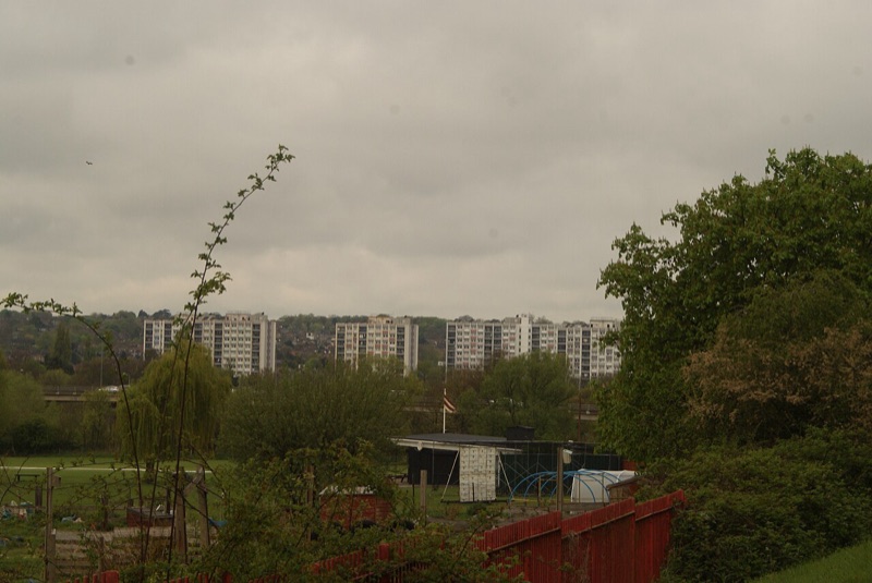 Roding Lane North London — photograph