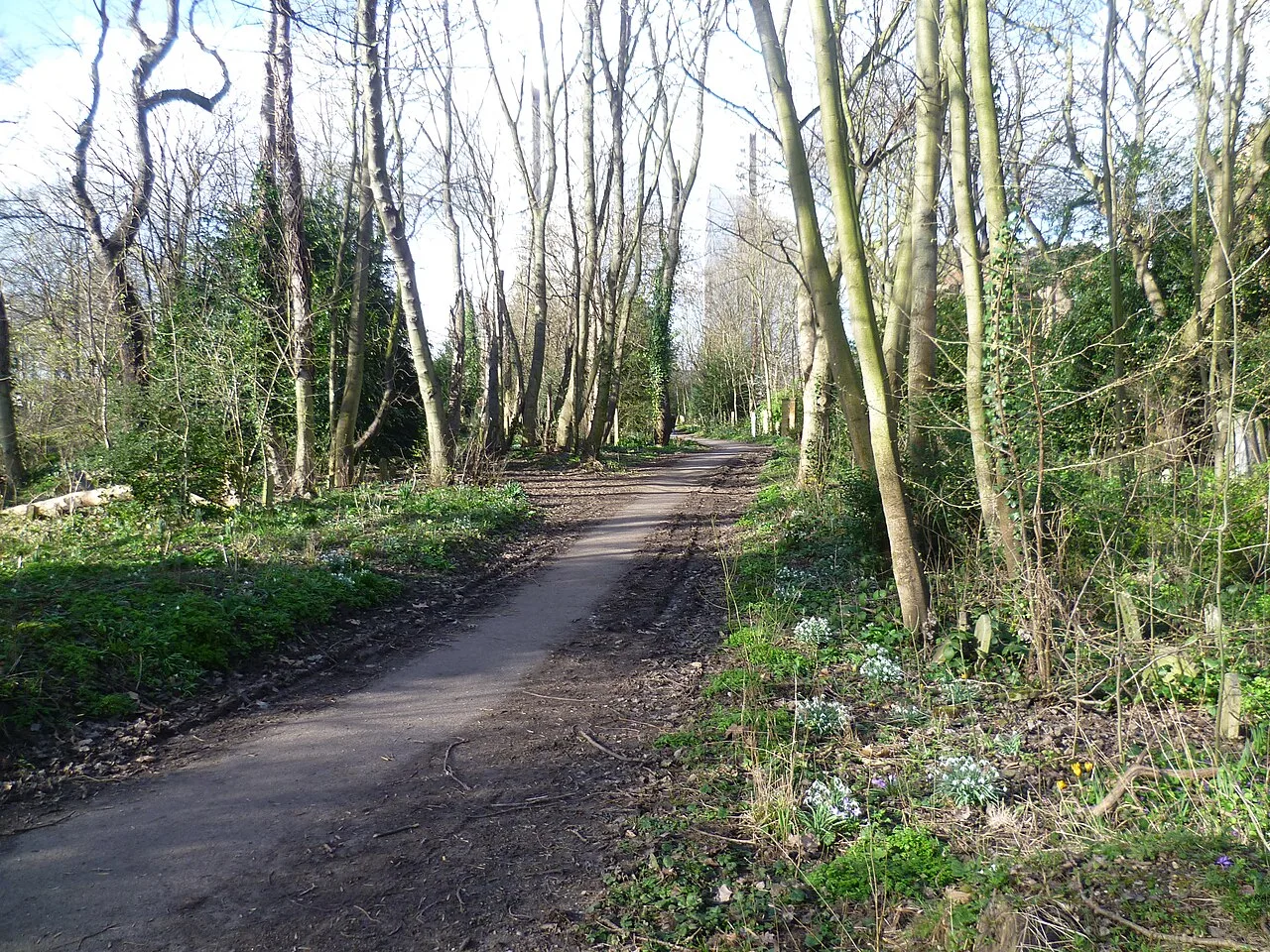 Tower Hamlets Cemetery Park — photograph